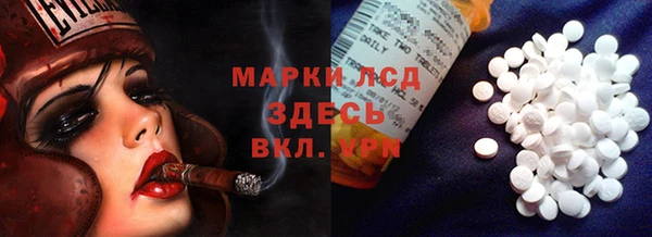 PSILOCYBIN Медвежьегорск