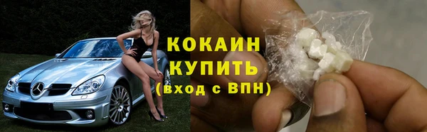 PSILOCYBIN Медвежьегорск