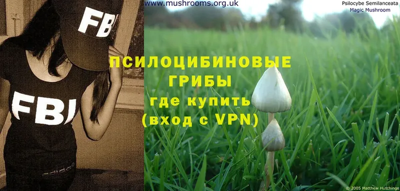 Псилоцибиновые грибы MAGIC MUSHROOMS  MEGA ONION  Мышкин 